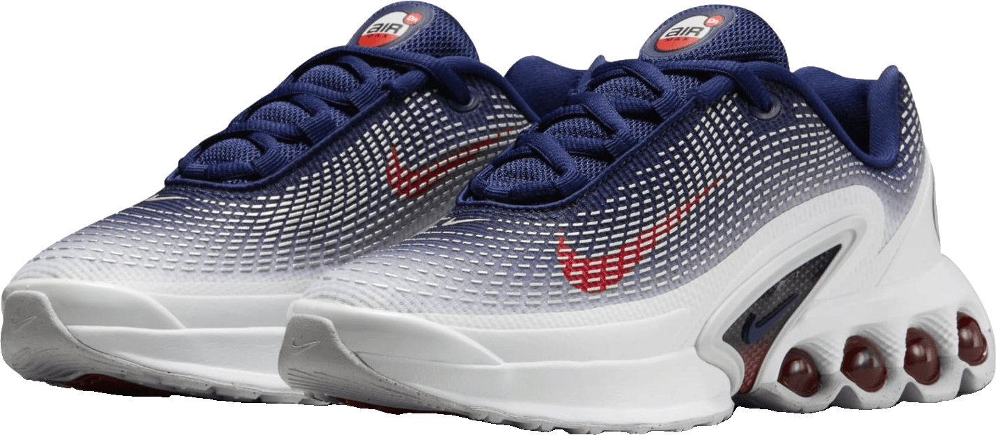 Nike Air Max DN Olympic (GS)