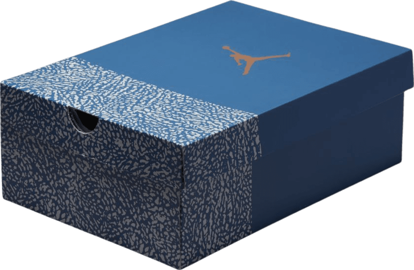 Air Jordan 3 Wizards