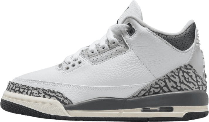 Air Jordan 3 Retro Hide N' Sneak (GS)