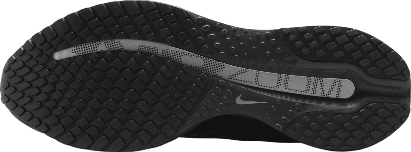 Nike Pegasus Premium Black/Metallic Silver