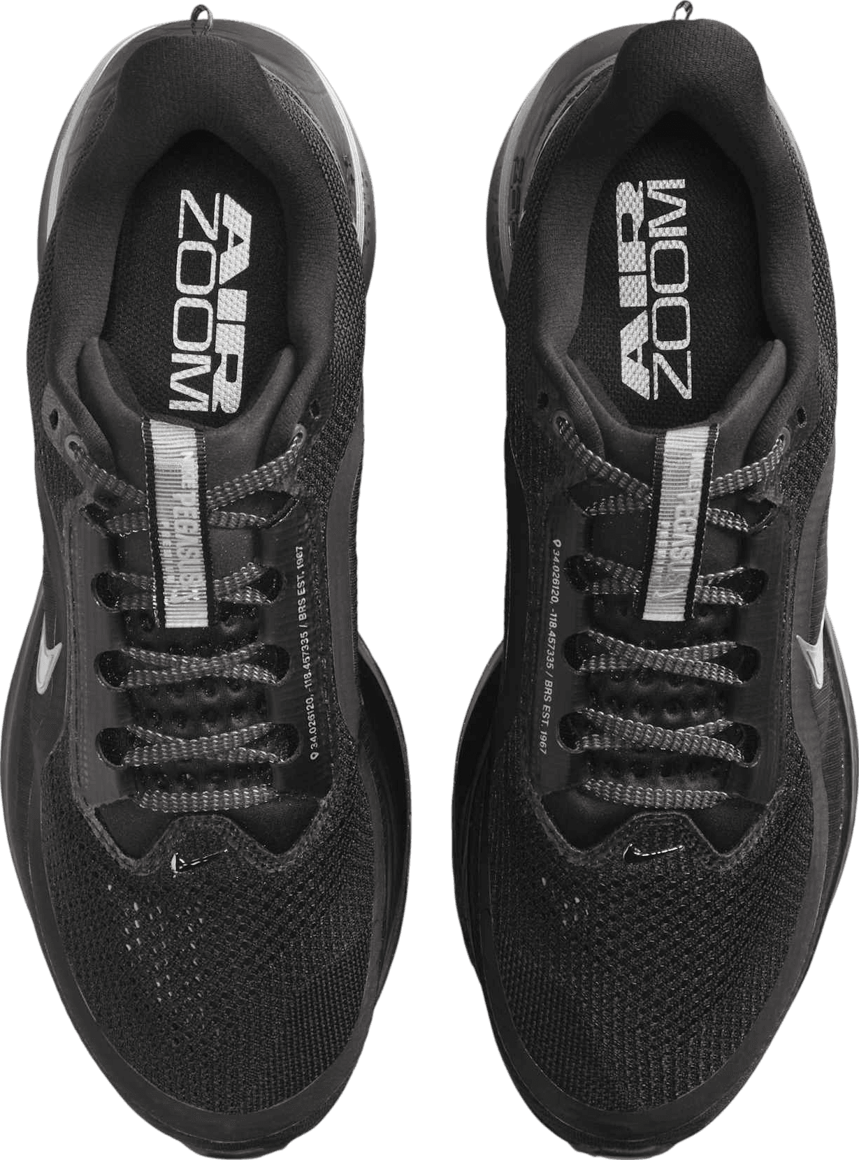 Nike Pegasus Premium Black/Metallic Silver