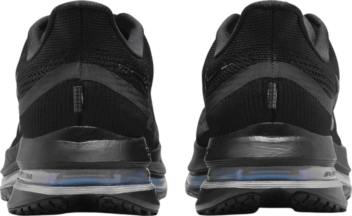 Nike Pegasus Premium Black/Metallic Silver