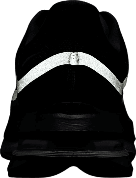 Nike Pegasus Premium Black/Metallic Silver
