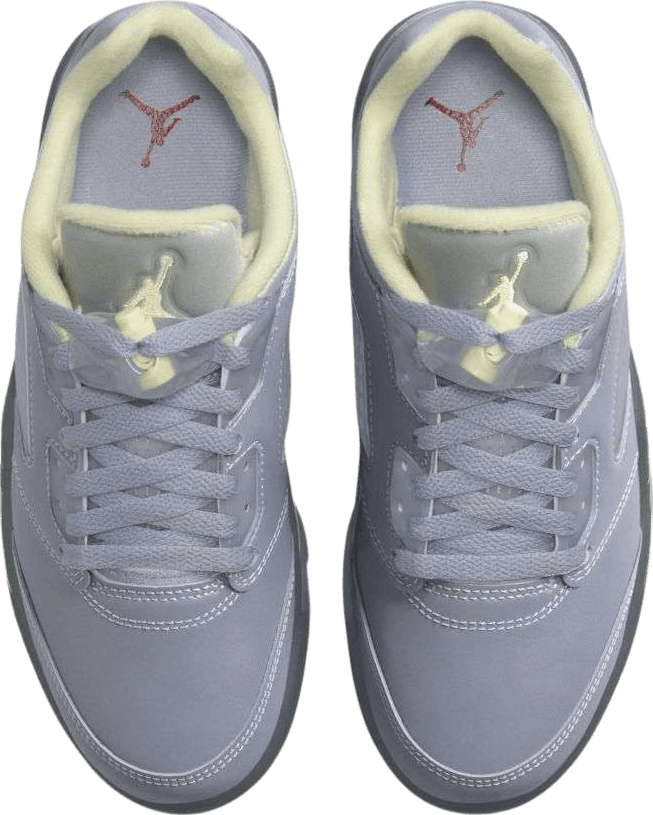 Air Jordan 5 Low Indigo Haze (W)