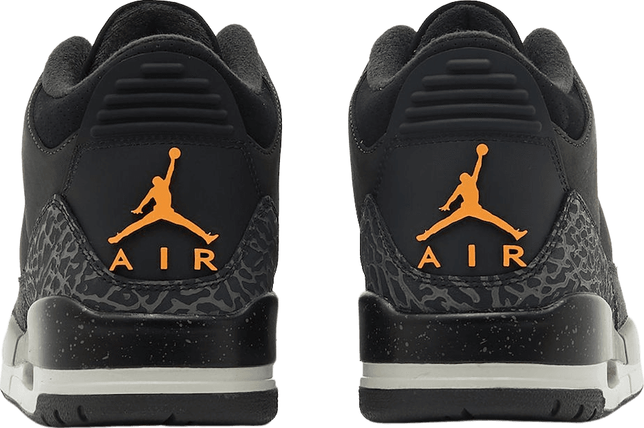 Air Jordan 3 Fear (2023)