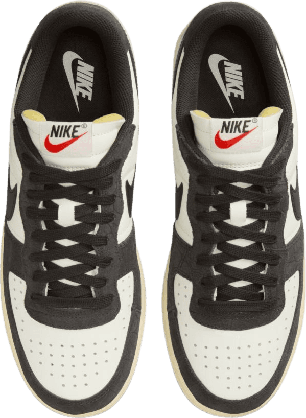 Nike Terminator Low Velvet Brown