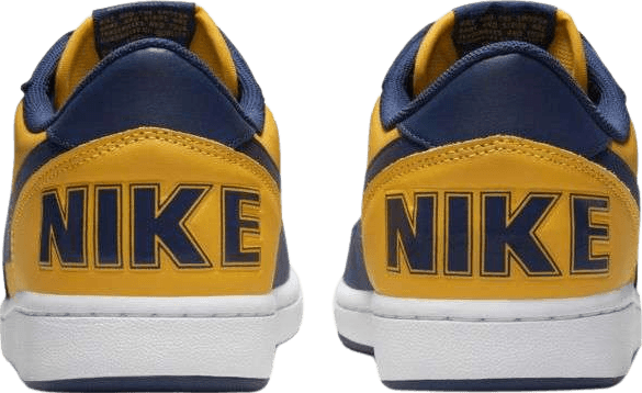 Nike Terminator Low Michigan