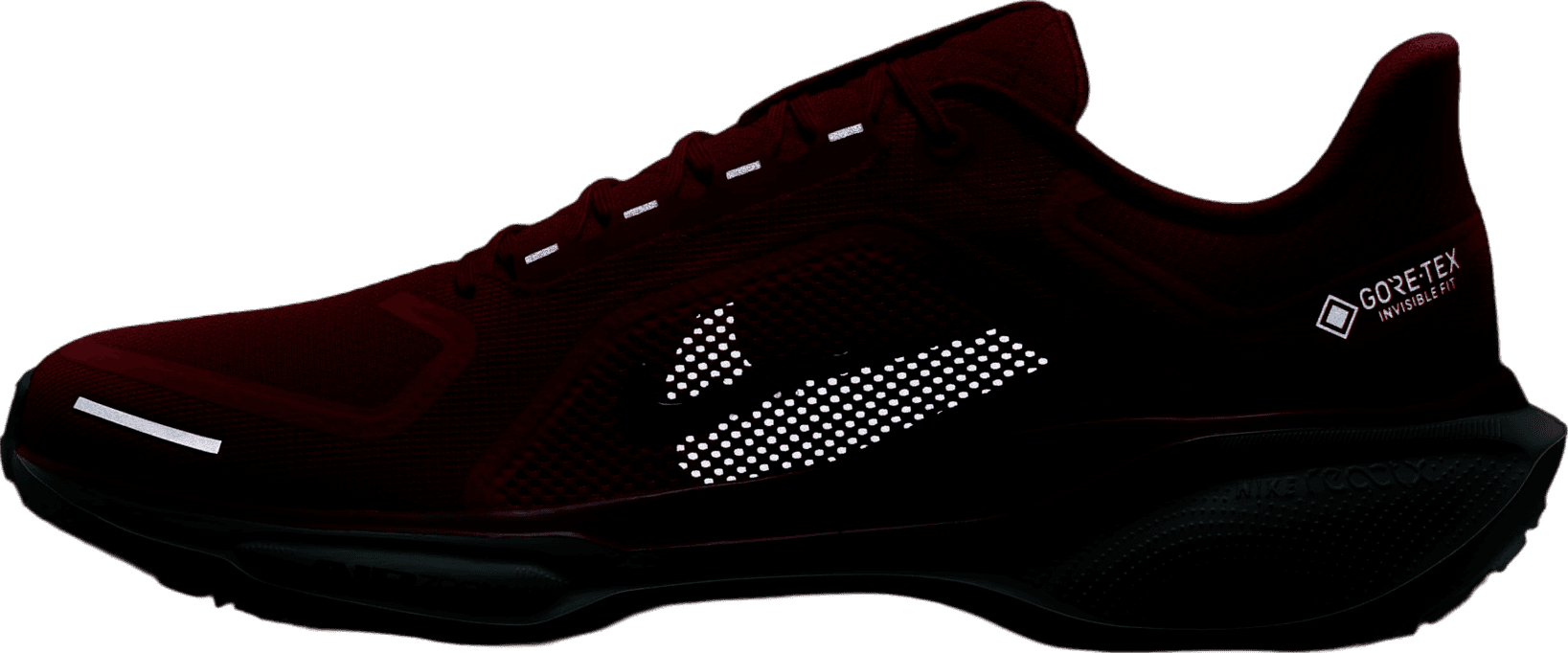 Nike Pegasus 41 GORE-TEX Track Red