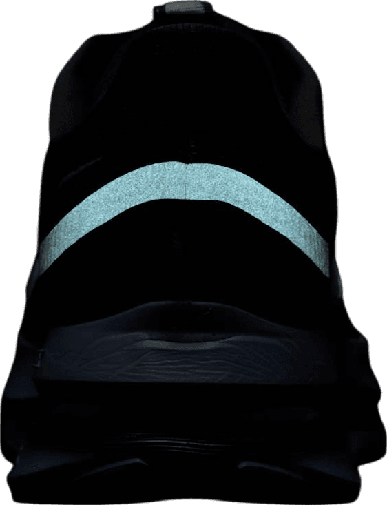 Nike Pegasus Premium Anthracite