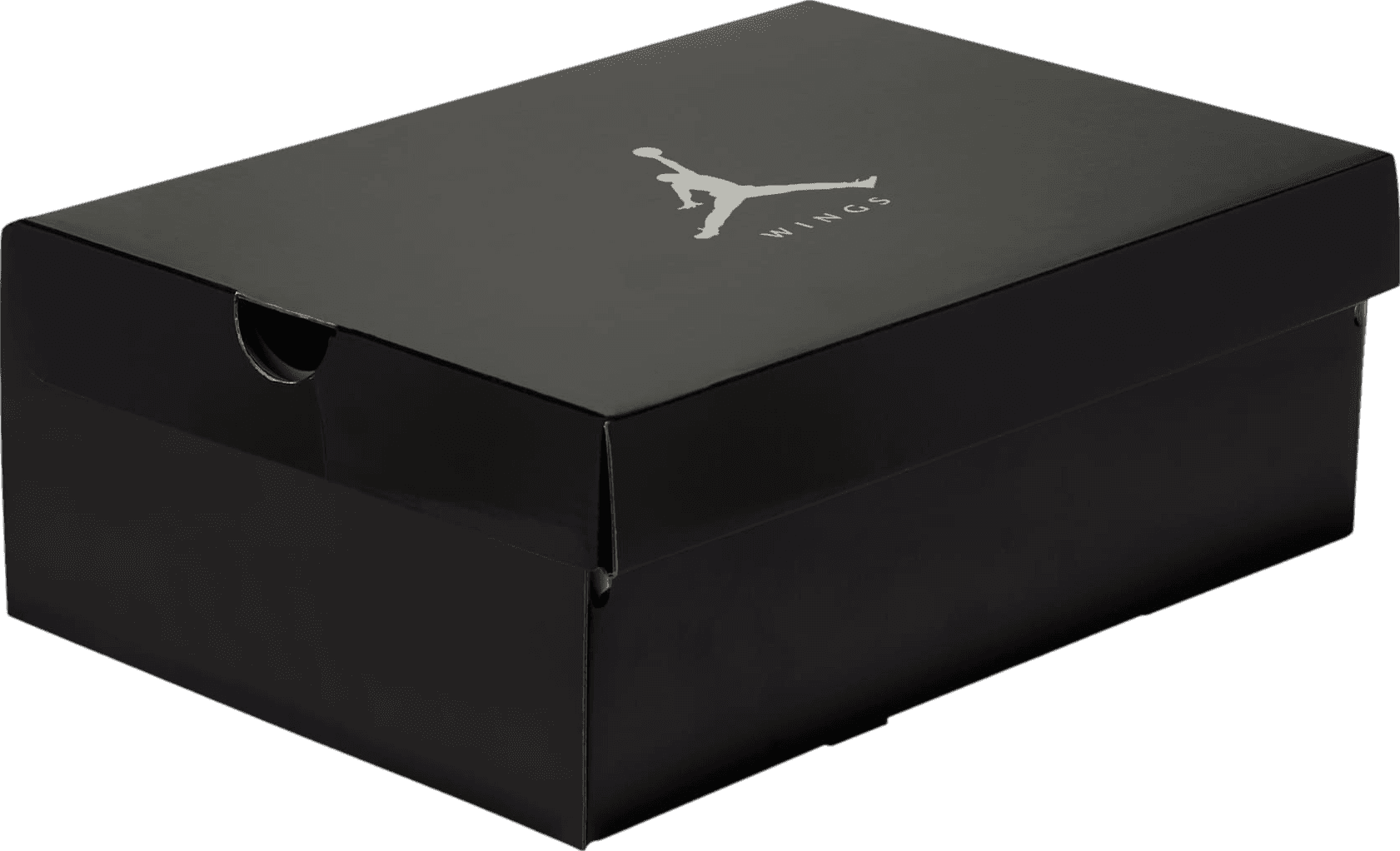 Air Jordan 5 Wings Metallic Silver