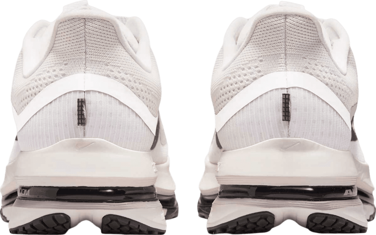 Nike Pegasus Premium Run Platinum Tint