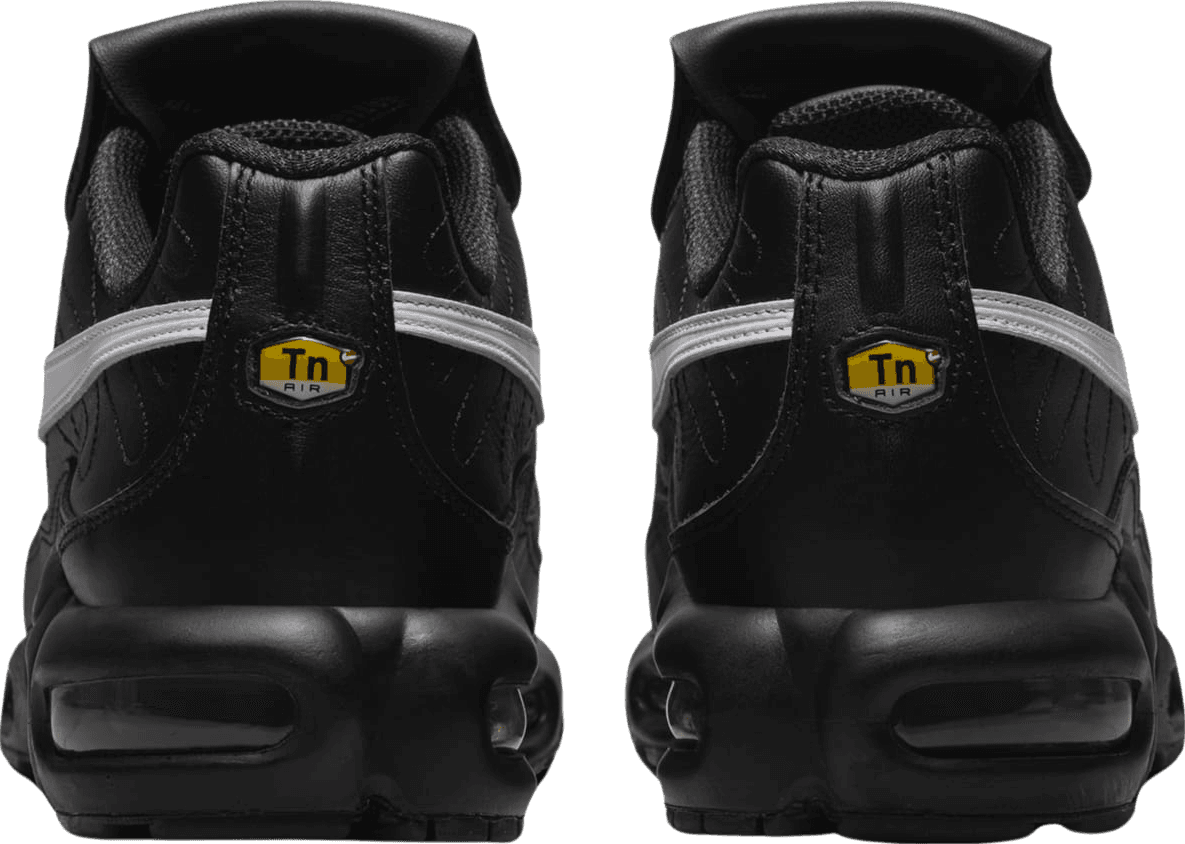 Nike Air Max Plus Tiempo (W)