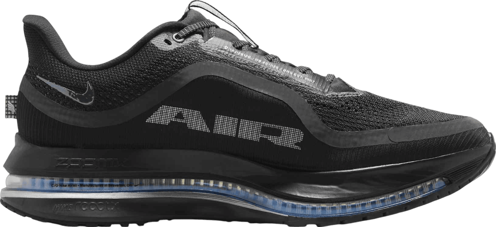 Nike Pegasus Premium Black/Metallic Silver