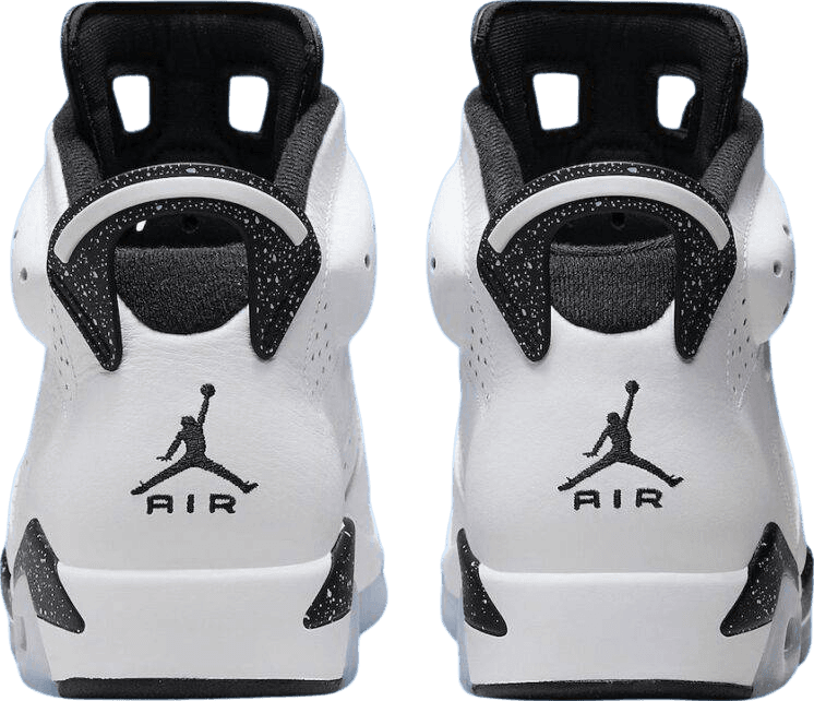 Air Jordan 6 Reverse Oreo