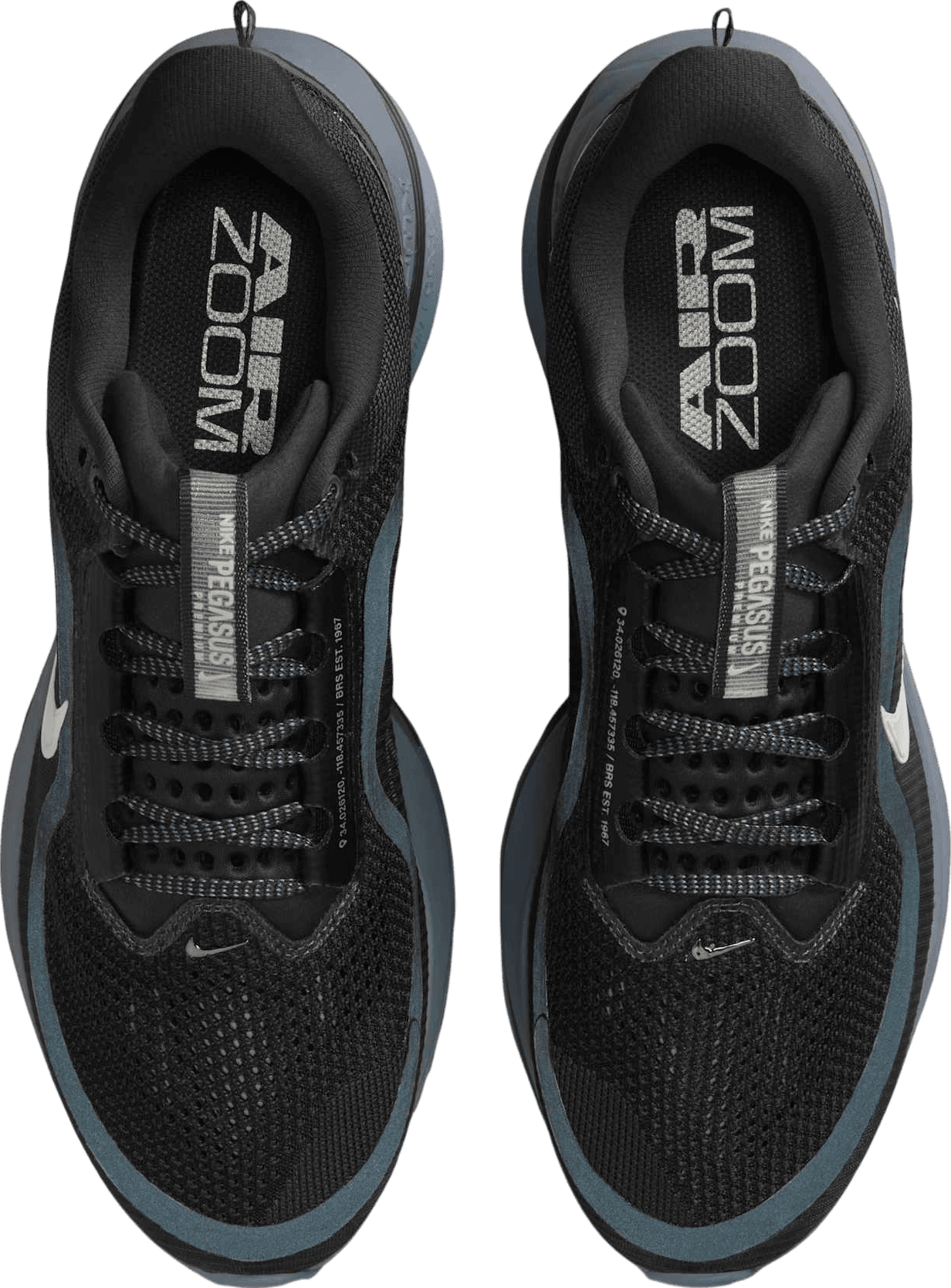 Nike Pegasus Premium Anthracite