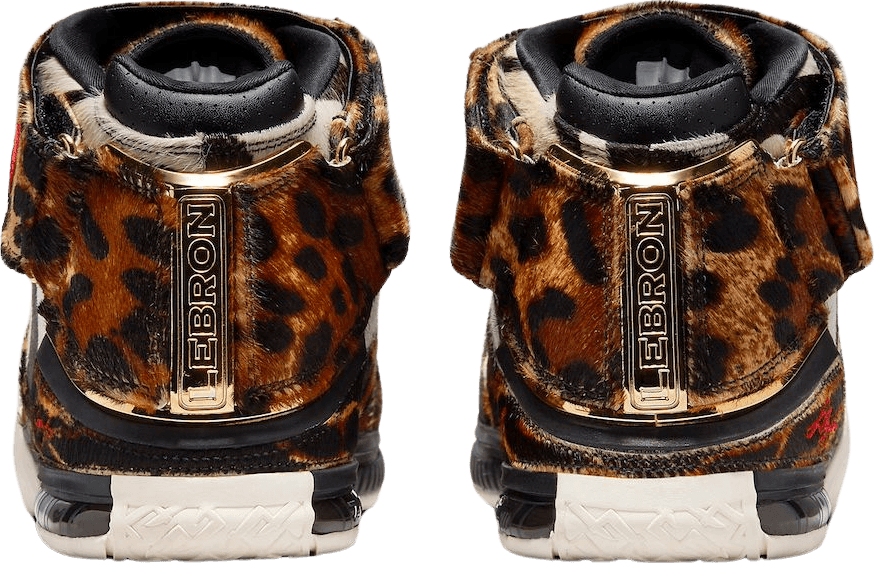Nike LeBron 2 Beast