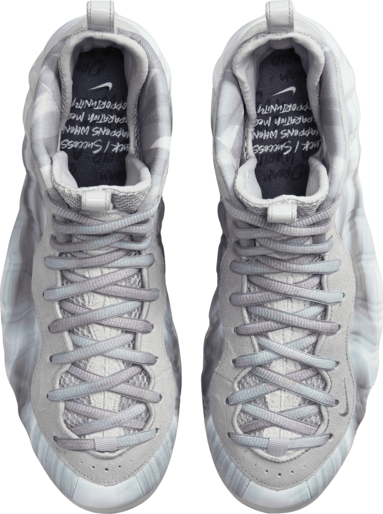 Nike Air Foamposite One Dream A World Grey