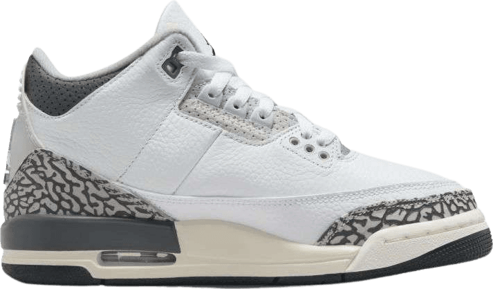 Air Jordan 3 Retro Hide N' Sneak (GS)