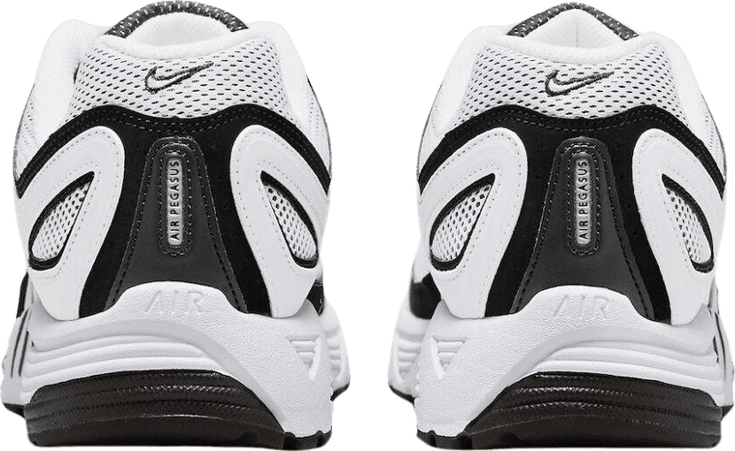 Nike Air Pegasus 2K5 White/Black