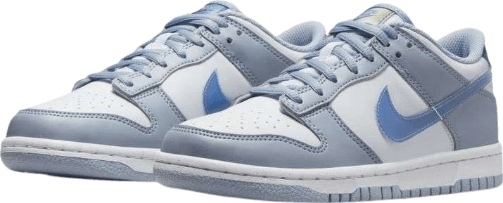 Nike Dunk Low Next Blue Whisper Iridescent (GS)
