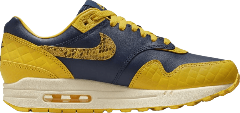 Nike Air Max 1 CO.JP Michigan (W)