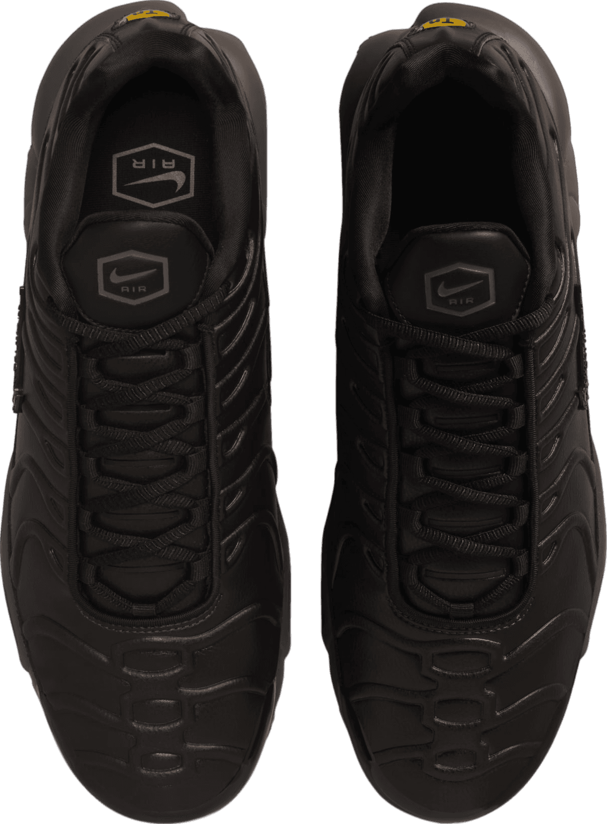 Nike Air Max Plus Black Tea/Petra Brown