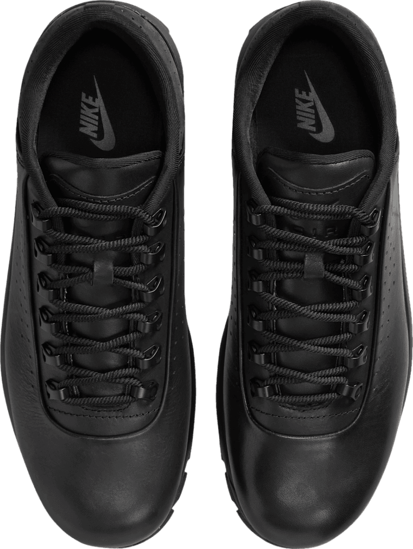 Nike Air Max Goadome Low Black