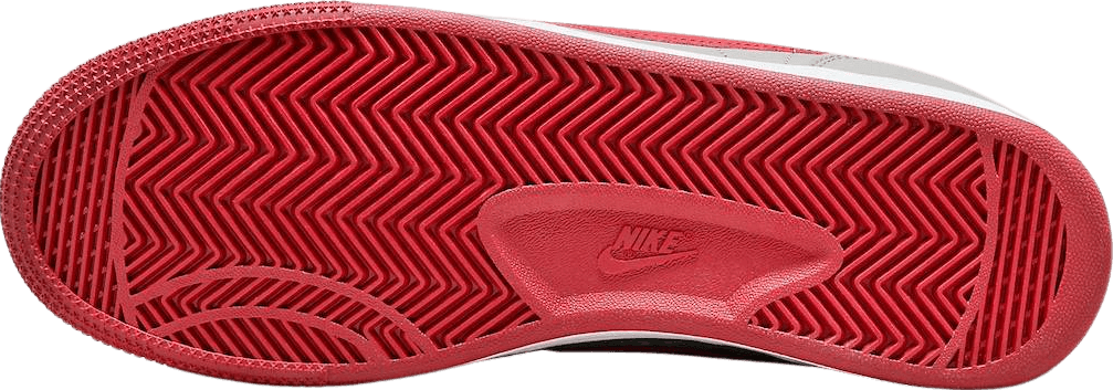 Nike Terminator Low UNLV