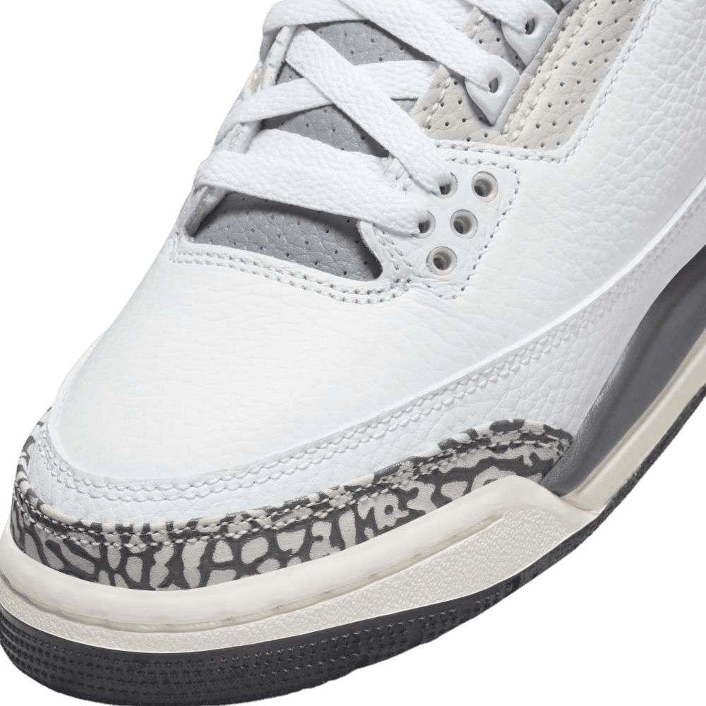 Air Jordan 3 Retro Hide N' Sneak (GS)