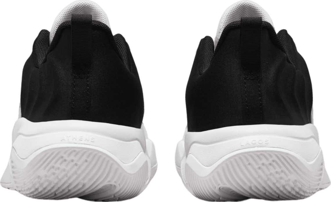 Nike Giannis Mortality 4 White/Black (GS)