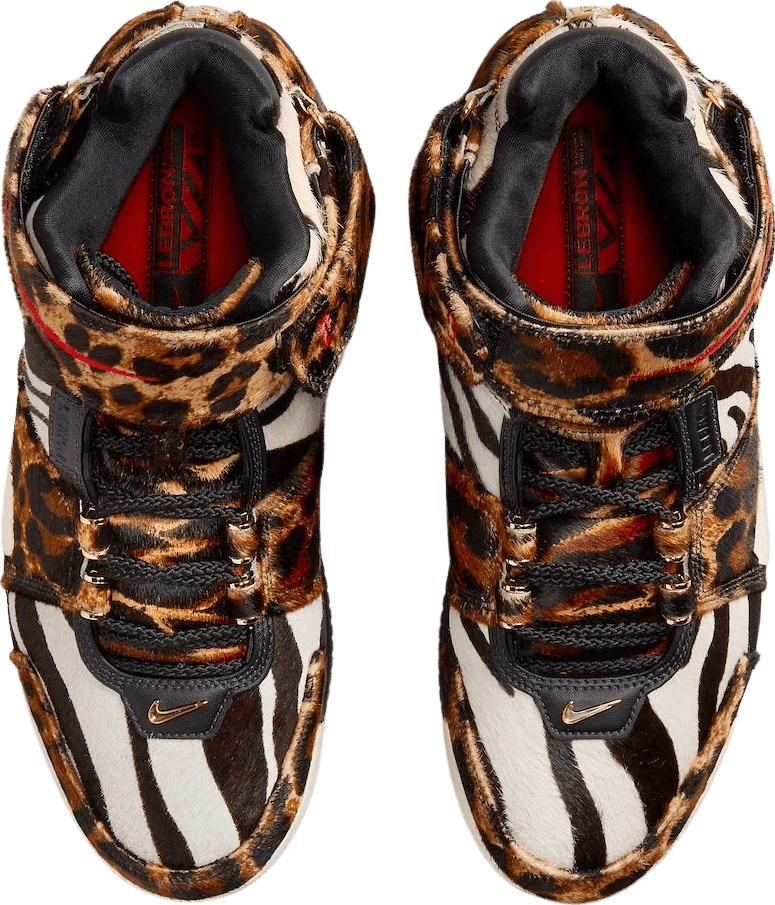 Nike LeBron 2 Beast