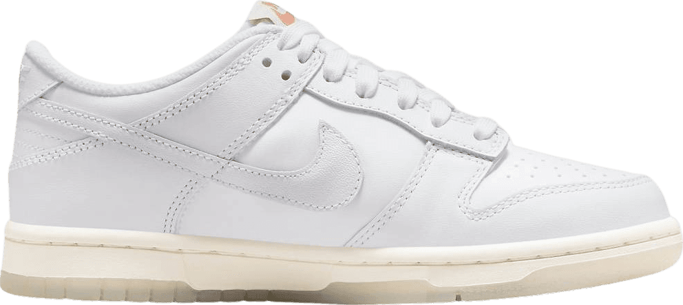 Nike Dunk Low Rainbow Swoosh (GS)