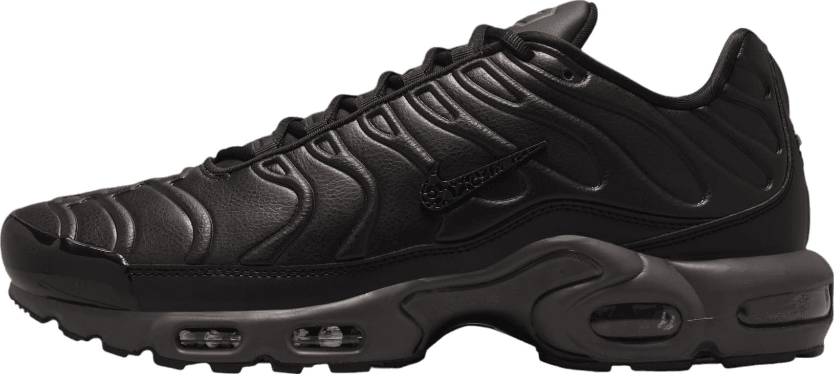 Nike Air Max Plus Black Tea/Petra Brown