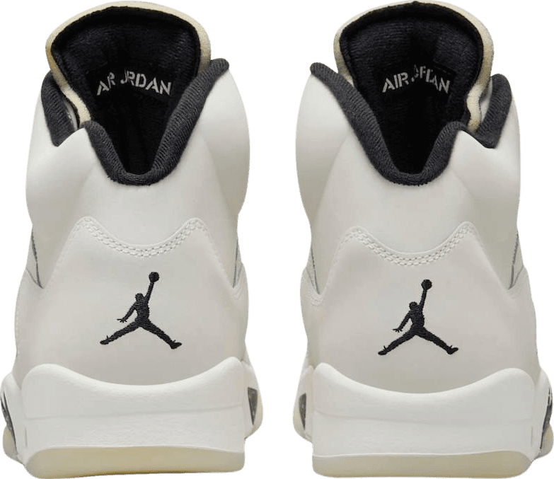 Air Jordan 5 SE Sail