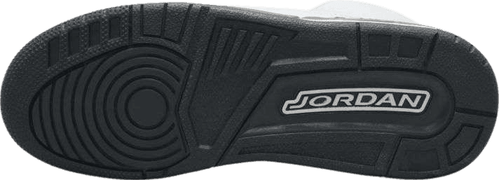 Air Jordan 3 Retro Hide N' Sneak (GS)