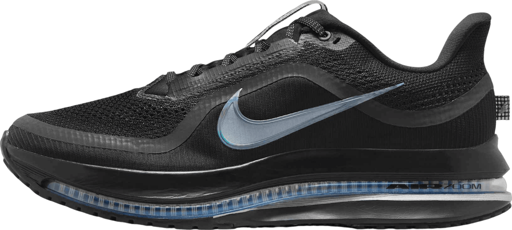 Nike Pegasus Premium Black/Metallic Silver