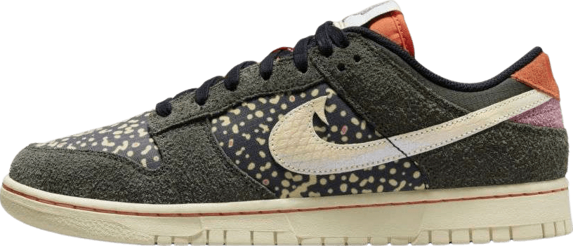 Nike Dunk Low Rainbow Trout