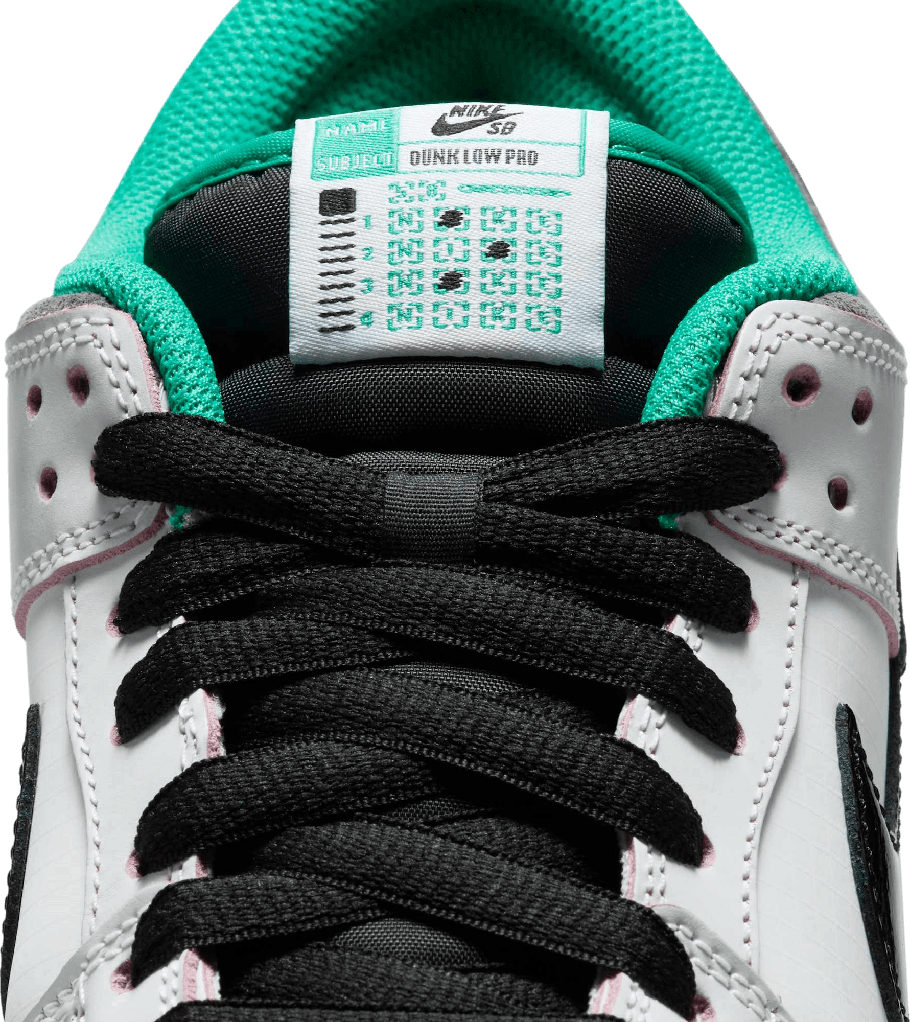 CSEF x Nike SB Dunk Low Pro