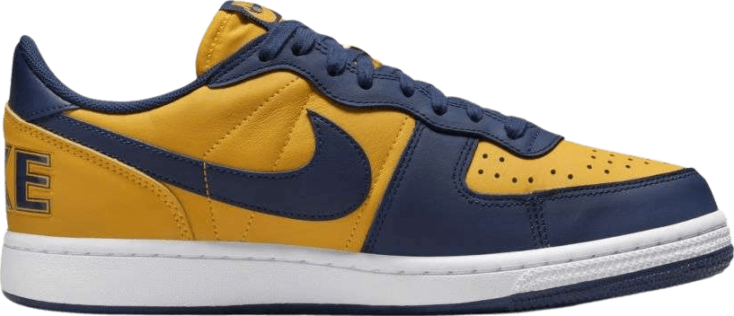 Nike Terminator Low Michigan