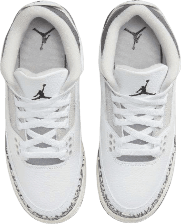 Air Jordan 3 Retro Hide N' Sneak (GS)