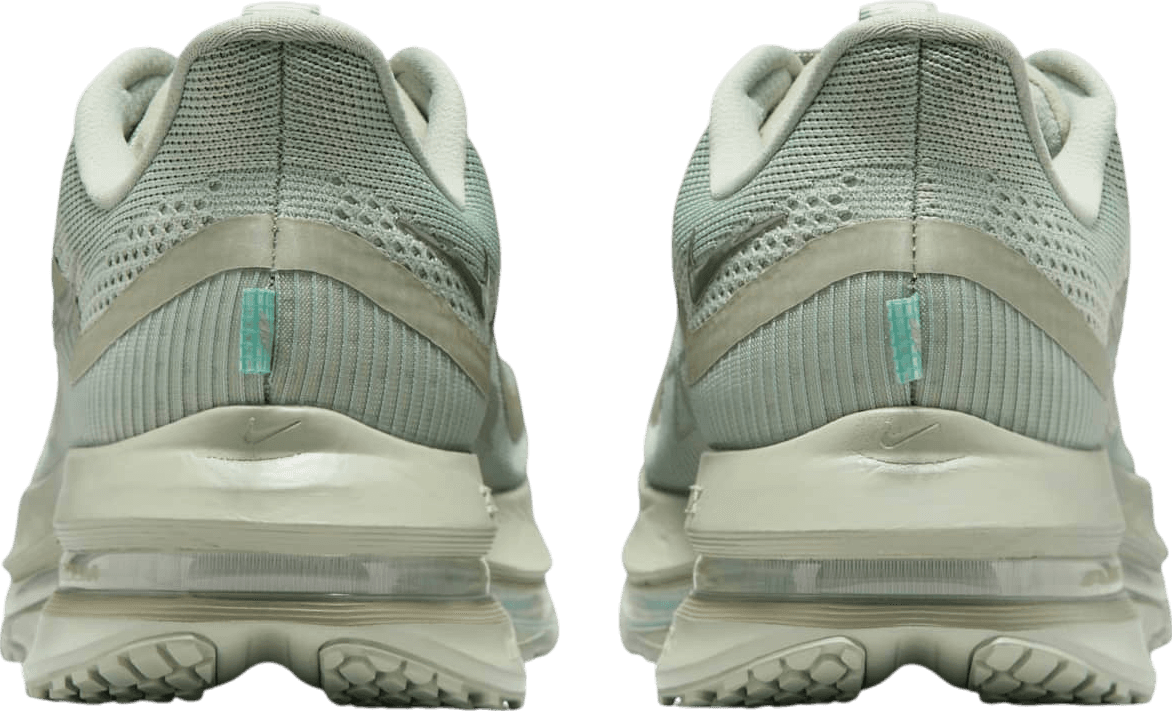 Nike Pegasus Premium Jade Horizon
