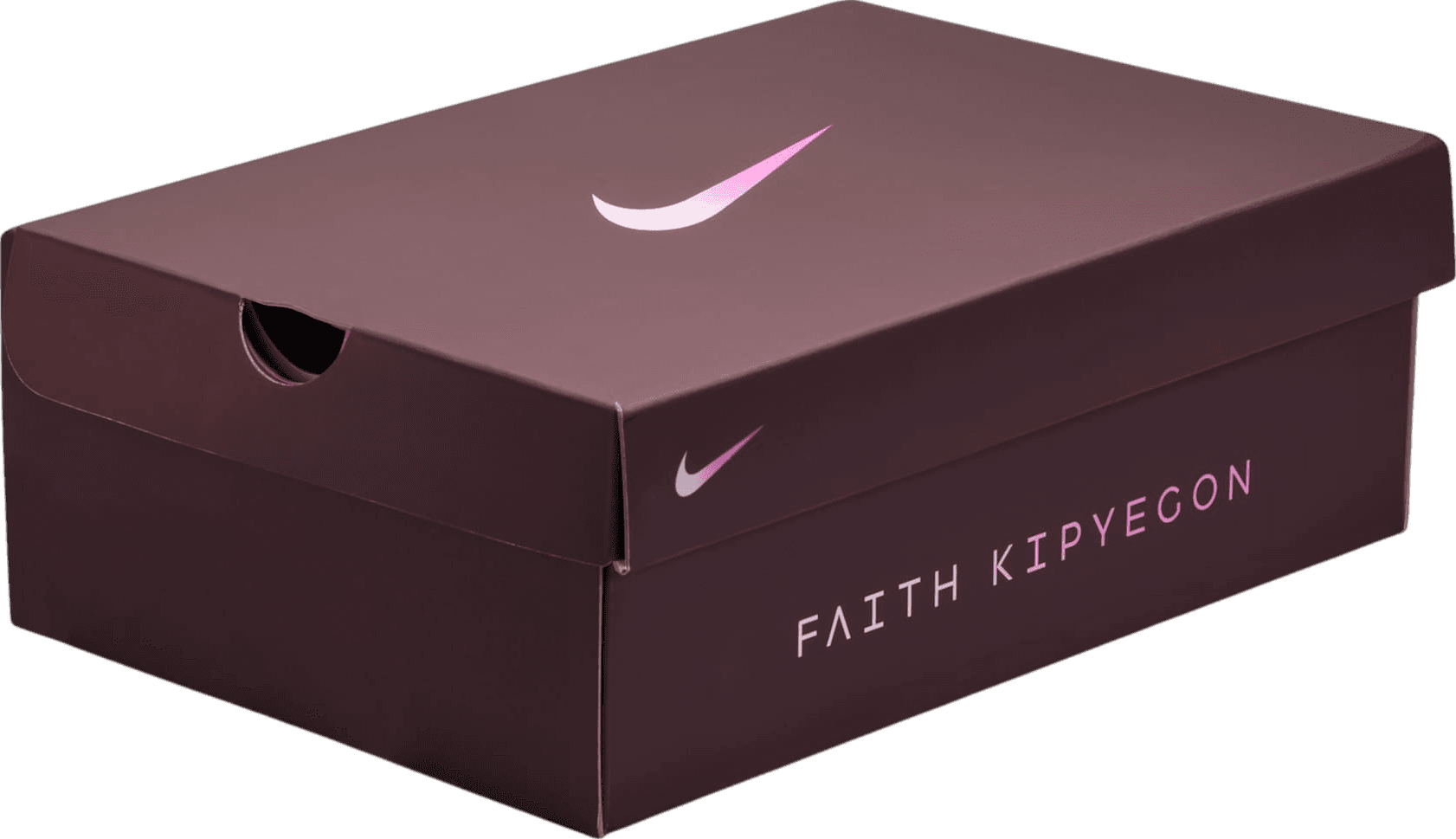 Nike Pegasus Premium Faith Kipyegon Plum Chalk (W)