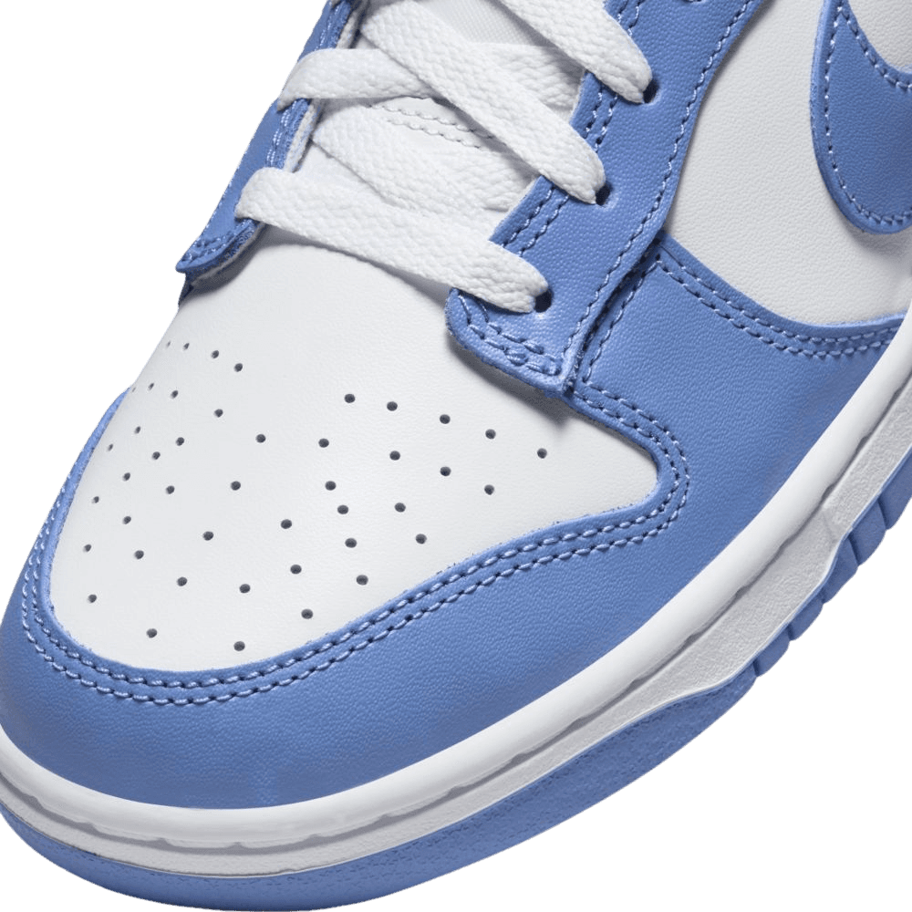 Nike Dunk Low Polar Blue