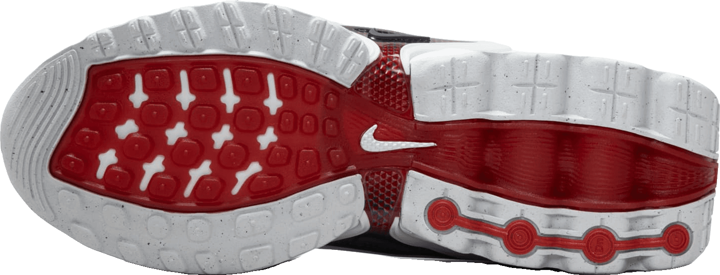 Nike Air Max DN Olympic (GS)