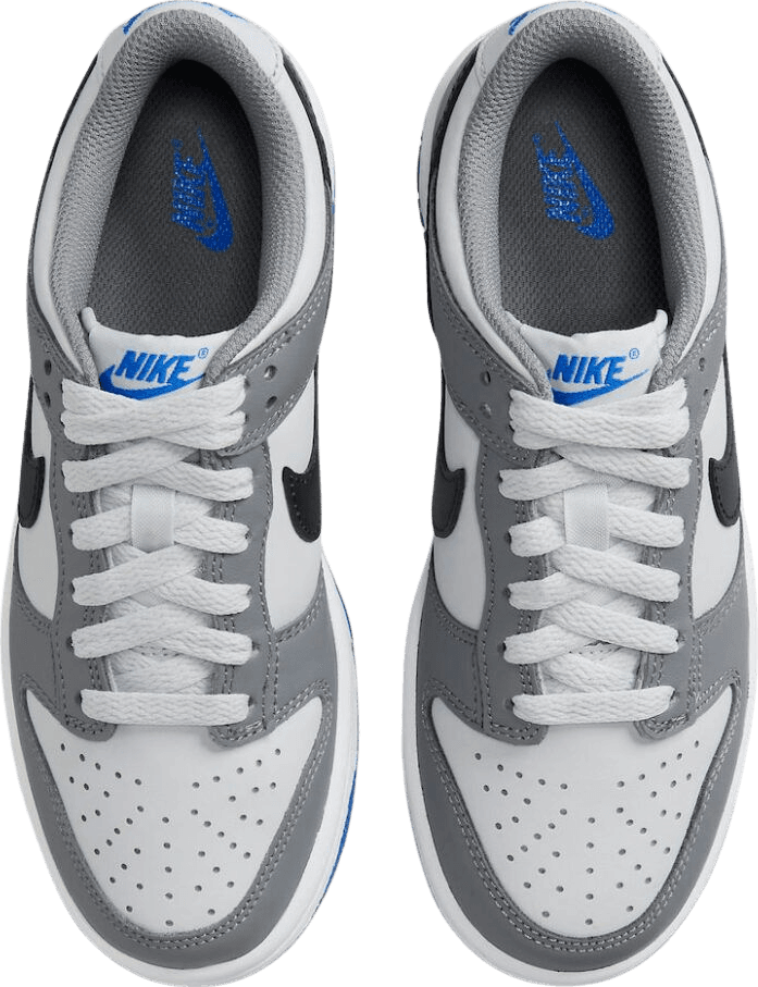 Nike Dunk Low Cool Grey (GS)