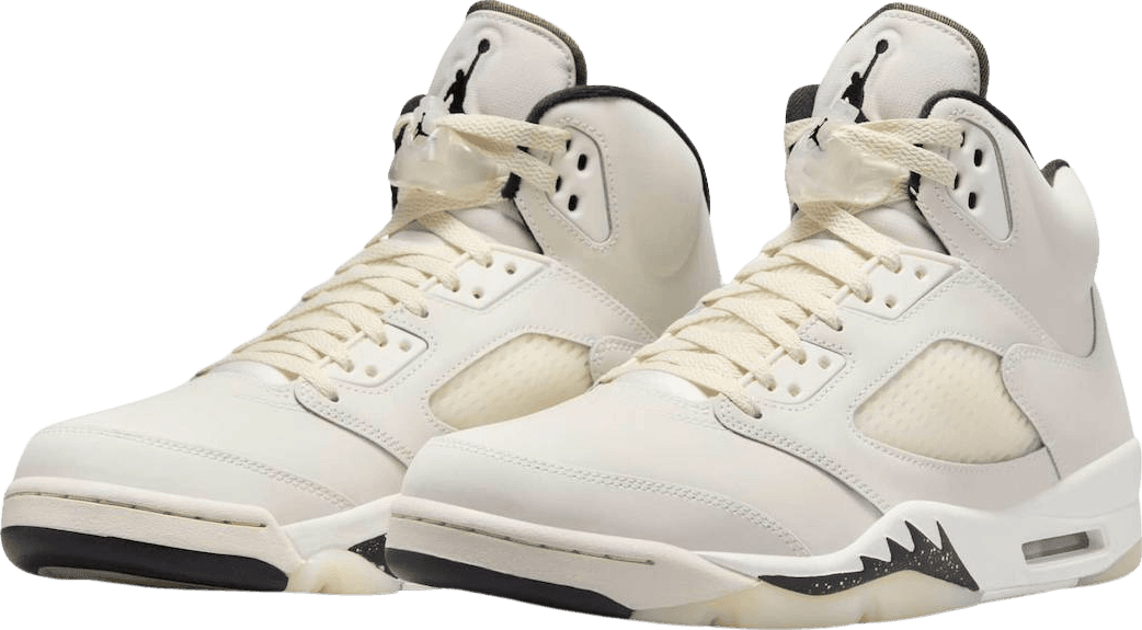 Air Jordan 5 SE Sail