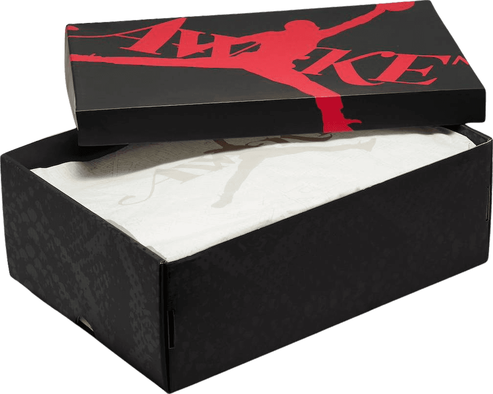 Nike Jordan Air Ship Awake NY