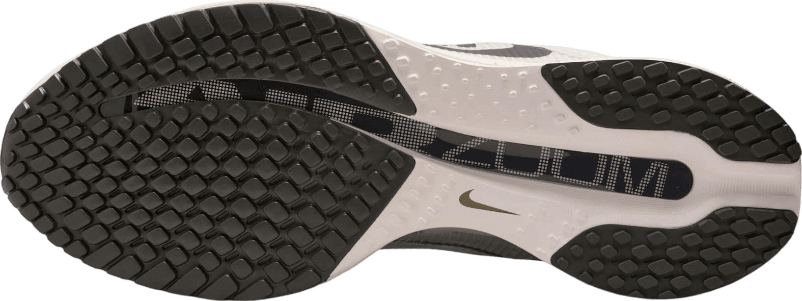 Nike Pegasus Premium Run Platinum Tint