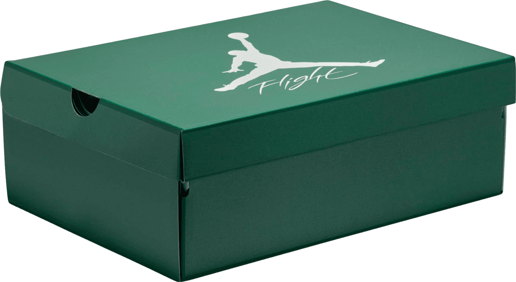 完成品 - SwiftSole Air Green Oxidized 4 Jordan 小物・アクセサリー