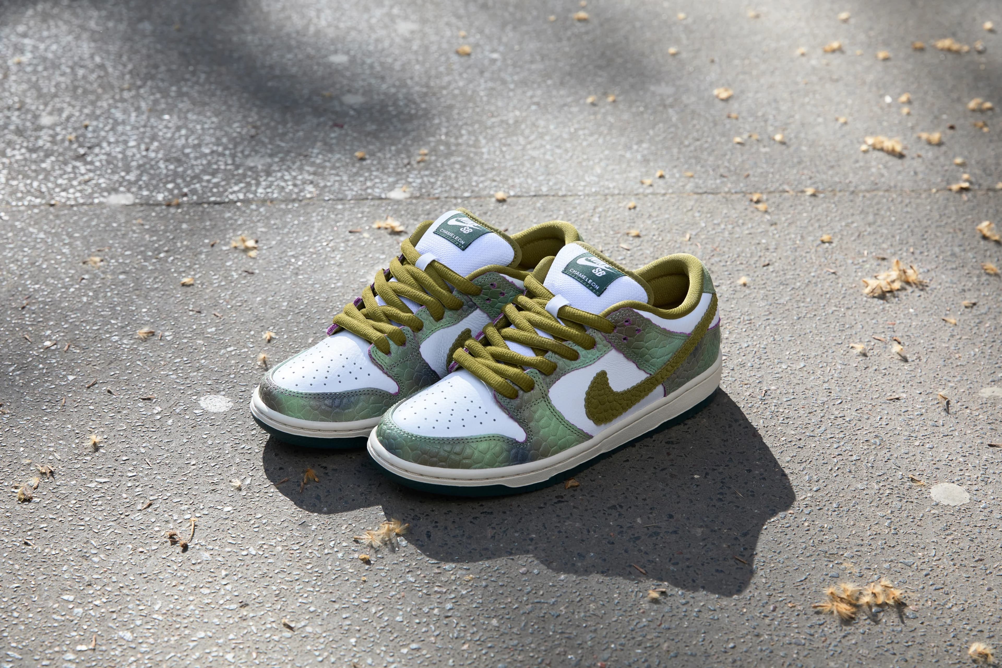 Skateboarding federation kits: SB Dunk Low